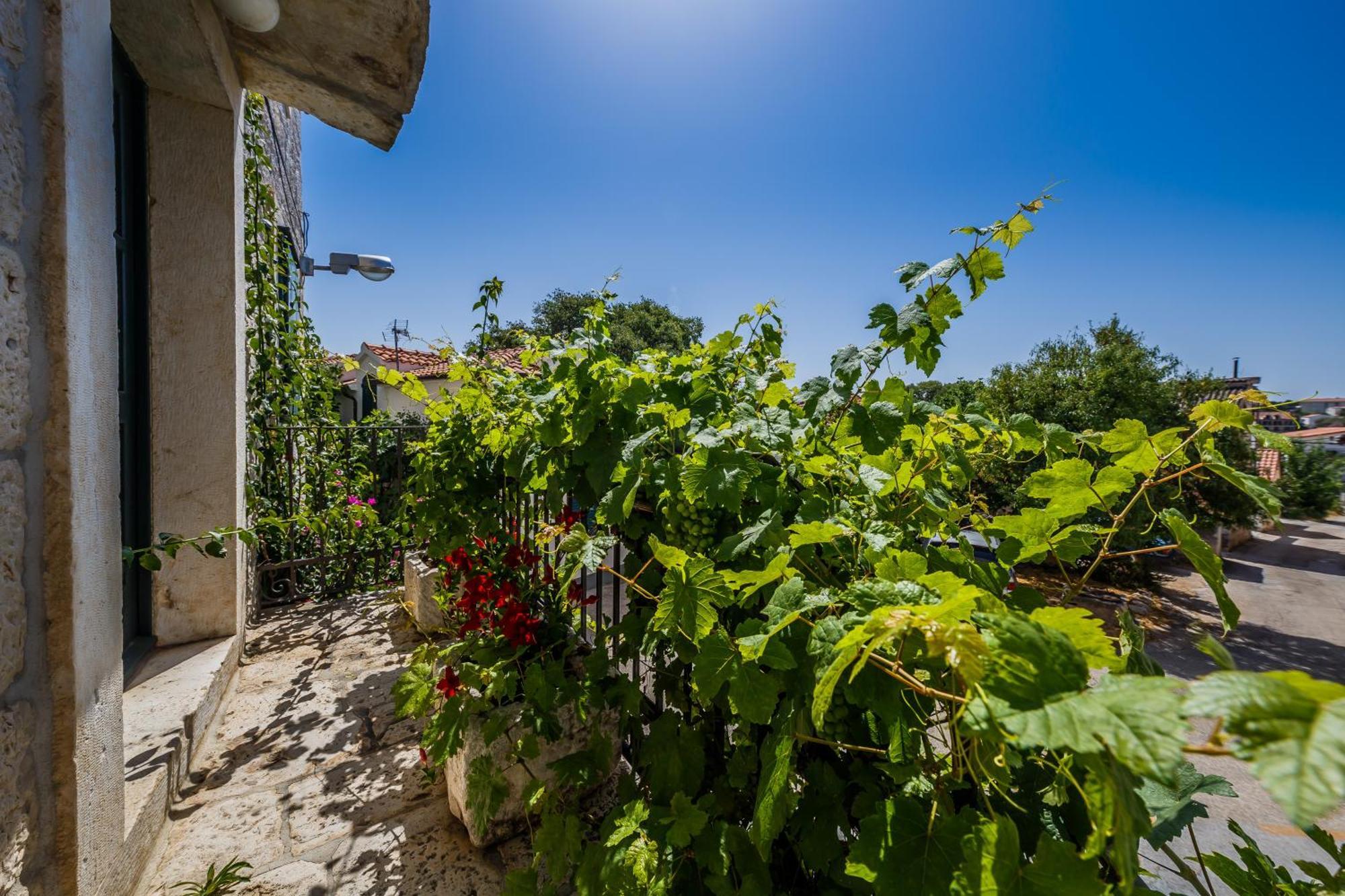 Villa Rustica Dalmatia Seget Vranjica Exteriör bild